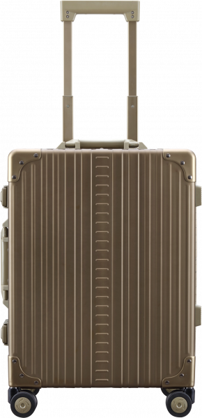 21" DOMESTIC CARRYON - BRONZE - Reisekoffer für stilbewusste Reisende